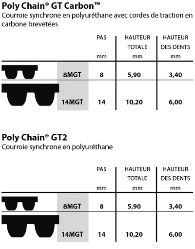 polychaingt