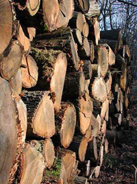 Eléments Rosta pour l'industrie forestière
