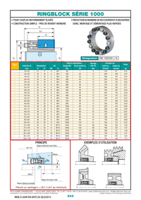 Page 543 : Ringblock Série 1000