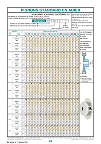 Page 20 : Pignons standard en acier