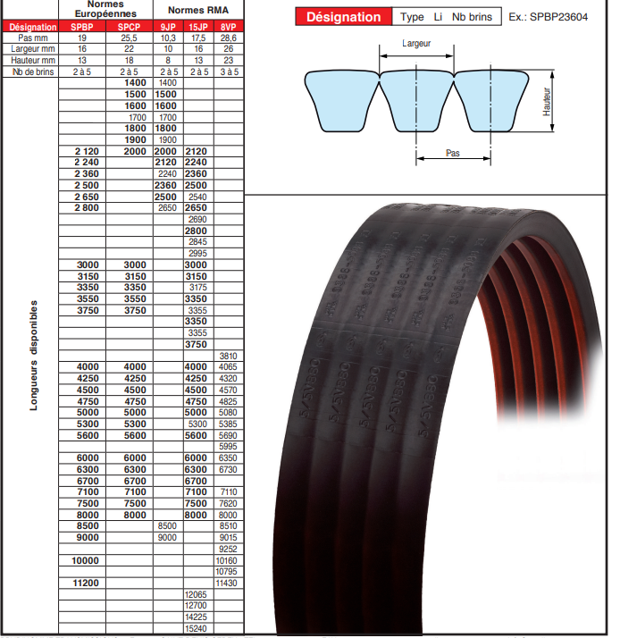 page 83 - COURROIES POWERBAND PREDATOR