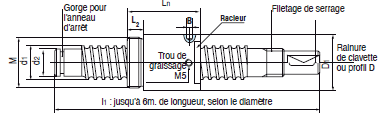 Page 234 - LES VIS À BILLES ‘‘CARRY’’ DE TRANSPORT